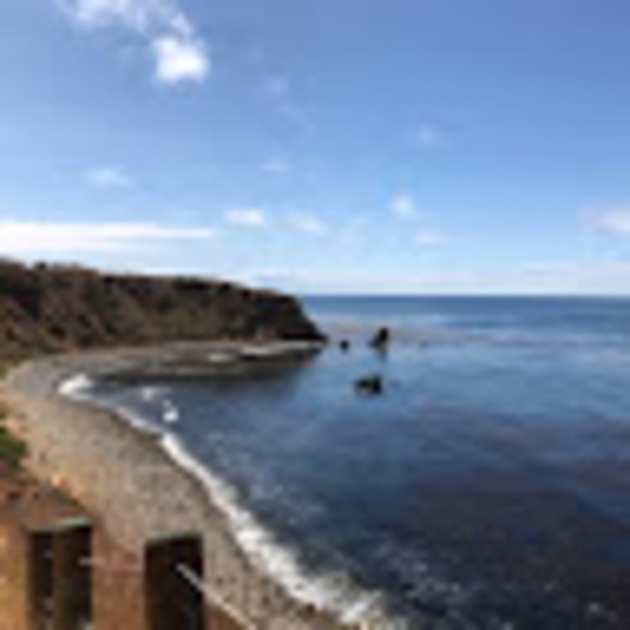 Meet your Posher, Sophia - Picture 1 of 1